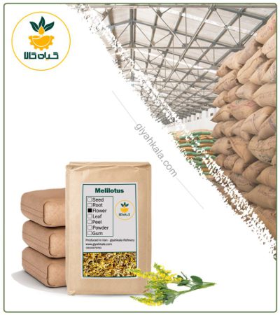 Bulk Dried Sweet Clover (Melilotus)