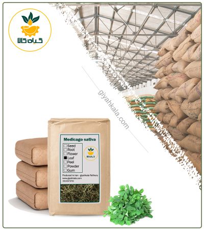 Bulk Dried Alfalfa (Medicago Sativa)