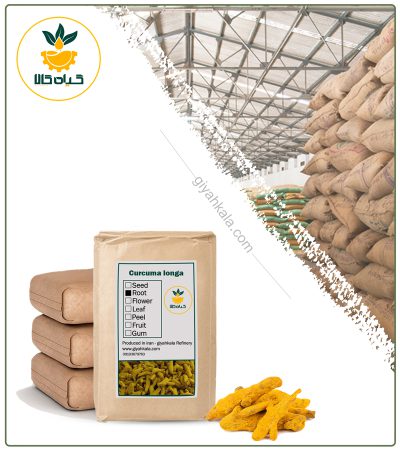 Bulk Dried Turmeric
