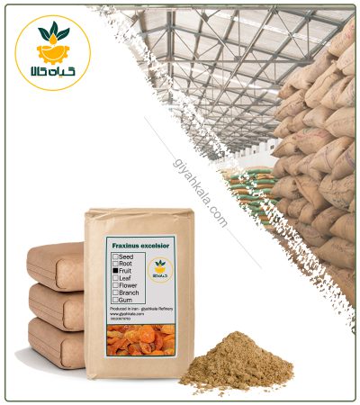 Bulk Apricot Powder