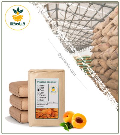 Bulk Dried Apricot Fruit