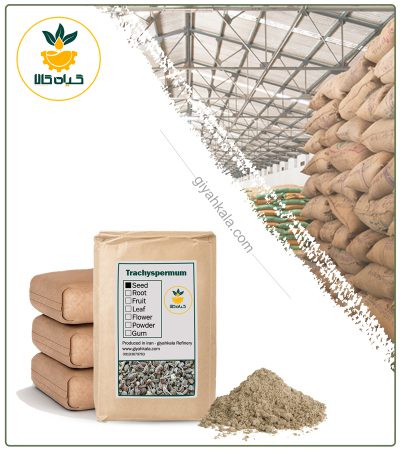 Bulk Ajwain Seed Powder