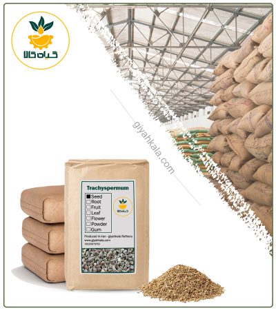 Bulk Dried Ajwain Seeds