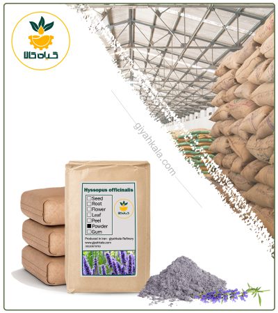 Bulk Hyssop Powder